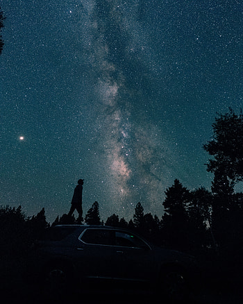 Trees, Night, Dark, Silhouette, Car, Starry Sky, Milky Way HD phone wallpaper