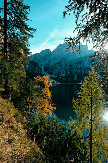 Nature, Trees, Sky, Mountains, Clouds, Lake, Branches HD phone wallpaper
