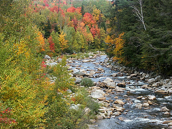 River in New Hampshire, trees, river, water, rocks HD wallpaper