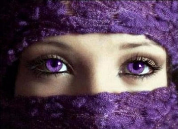 Purple Eyes And Veil, Veil, Beautiful, Woman, Eyes, People, Pretty HD wallpaper