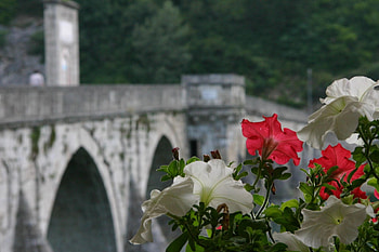 The Drina Bridge, bridge, flowers, ivo andric, drina HD wallpaper