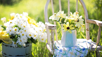 flowers, vase, summer HD wallpaper