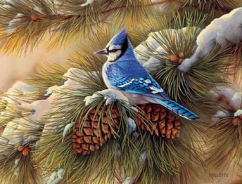 blue nutcracker, blue, birds, animals, nutcracker HD wallpaper