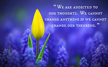 Thinking, Yellow, Lavender, Flowers, Nature, Quotes, Thoughts, Words, Purple HD wallpaper