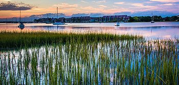 South Carolina, Southern gem, Diverse landscapes, Cultural experiences HD wallpaper