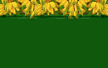 Fruits, Food, Background, Bananas HD wallpaper