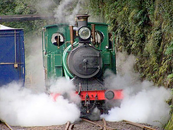 train,forest,rail,trail, rail, train, nature, forest HD wallpaper