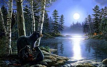 bear and her cubs, forest, cub, bear, lake HD wallpaper