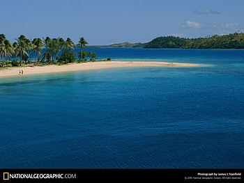 South Pacific White Sand Beach, tropical, beaches, nature, palm trees, south pacific, ocean, white sand HD wallpaper