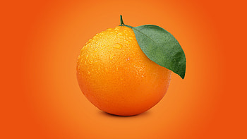 Brand new logo, Orangefarbene logos, Logo design, Vibrant orange HD wallpaper