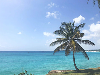 Barbados citizenship investment, Caribbean visa program, Attractive opportunities, Global connectivity HD wallpaper