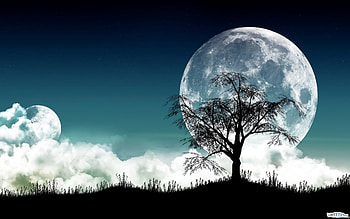 Landscape, Trees, Moon HD wallpaper