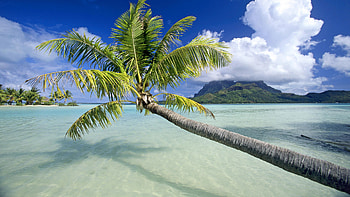 Tropical escape, Bora Bora, French Polynesia, high-quality HD wallpaper