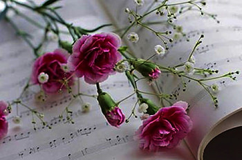 Romantic Moment, still life, music, moments, graphy, flowers HD wallpaper