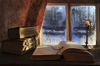 Cozy reading corners, Comfortable armchairs, Soft blankets, Bookish sanctuary HD wallpaper