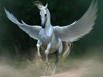 Wild horse, god, animal, wings, colorful, horse, magic, colors, beautiful, angel, wild, pretty, splendor, future HD wallpaper