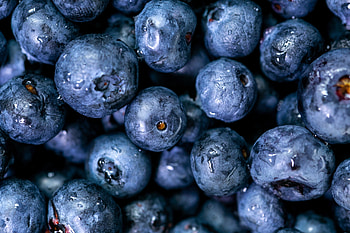 Blueberry, close up, fresh, water drops HD wallpaper