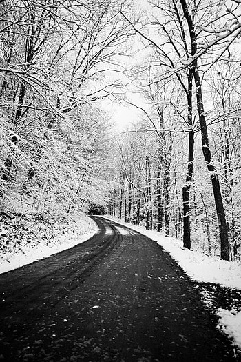 Winter, Nature, Trees, Snow, Road, Turn HD phone wallpaper