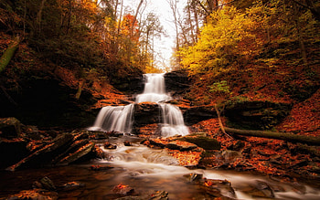 Autumn in the forest, leaves, wood, fall, autumn, nature, forest, stream, river, landscape HD wallpaper