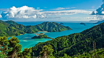 The Ocean, Summer, Trees, Sjy, Hilks, New Zealand tropic HD wallpaper