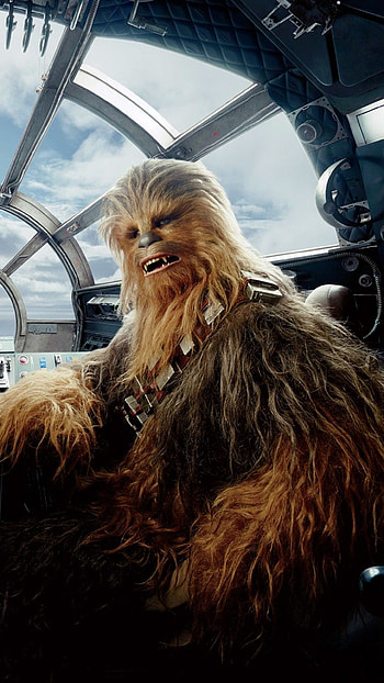 Chewie, Chewbacca , Top , Backgrounds HD phone wallpaper