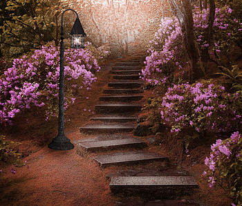 evening garden, garde, flowers, art, path HD wallpaper