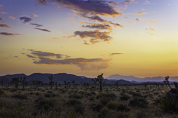 Nature, Trees, Sunset, Mountains, Valley HD wallpaper