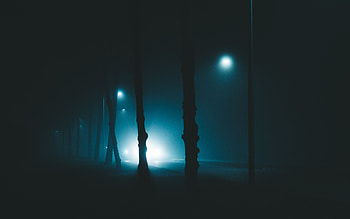Trees, Night, Lights, Dark, Shine, Light, Fog, Lanterns, Gloomy, Enveloping, Entthy HD wallpaper