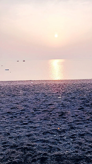 Nature with sun, morning sea, morning joiyful nature, nature, morning, sea morning, sea morning nature HD phone wallpaper