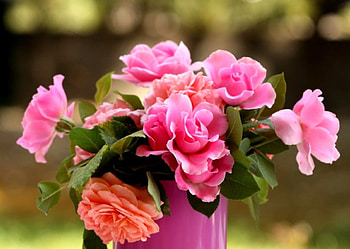 Roses, Flowers, Flower, Vase, Pink, Rose HD wallpaper