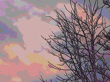 pretty sky, blue, pastel, dusk, pink, painting, yellow, branches, trees, sky HD wallpaper