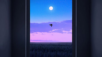 Unburden, bird, artist, artwork, digital-art HD wallpaper