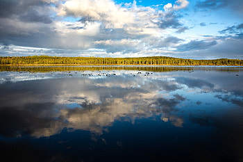 Trees, Lake, Reflection, Miscellanea, Miscellaneous, Forest HD wallpaper
