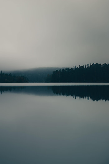 Nature, Lake, Forest, Fog HD phone wallpaper