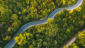 Aerial View Of Green Yellow Red Autumn Forest Trees Road Nature HD wallpaper