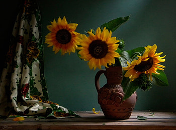 Still life, Flowers, Sunflowers, Vase HD wallpaper