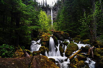 Watson_Falls, falls, trees, waterfalls, nature, forest HD wallpaper