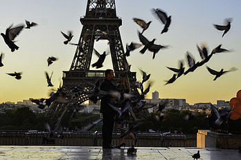 ♡ ❤ Love ♡ ❤, Beauty, man, Romantic, Lovely, woman, Beautiful, love, couple, Model, pigeon HD wallpaper