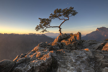 Nature, Stones, Sky, Rocks, Wood, Tree, Cliff HD wallpaper