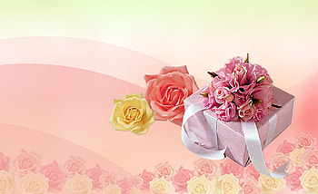 flower high, rose, pink, abstract, flower HD wallpaper