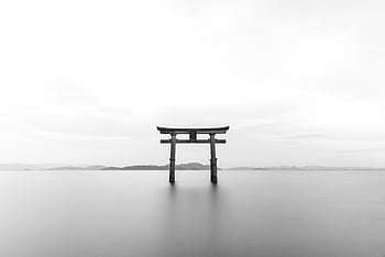 Serene black and white of a torii gate standing in calm waters, symbolizing tranquility. HD wallpaper