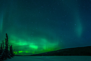Winter, Nature, Trees, Snow, Northern Lights, Aurora Borealis HD wallpaper