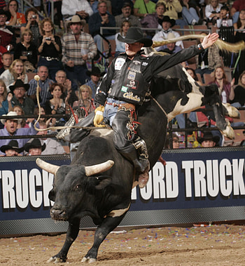 Bull riding action, Adrenaline rush, Rodeo showcase, Bullish intensity HD phone wallpaper