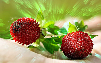 Sweet Berries Of Love, sweet, abstract, love, berries, fruit HD wallpaper