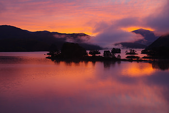 Nature, Trees, Sunset, Twilight, Clouds, Dusk, Island HD wallpaper