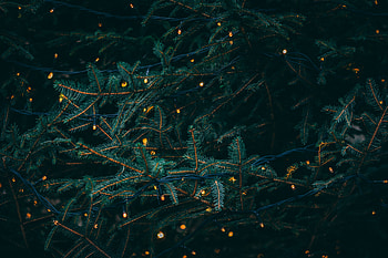 Holidays, Branches, Fir, Spruce, Garland HD wallpaper
