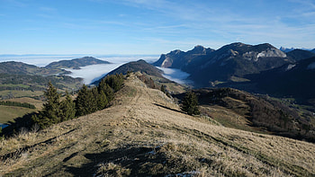 Trees Trail Bushes Dry Grass Fog Mountains Under Blue Sky During Daytime Nature HD wallpaper