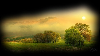 Fall Field Collage, fall, dandelions, collage, Firefox theme, fog, field, autumn, trees, clouds, sky, sun HD wallpaper
