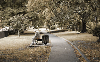 Trees, Miscellanea, Miscellaneous, Sit, Park, Human, Person, Loneliness, Bench, Elderly HD wallpaper