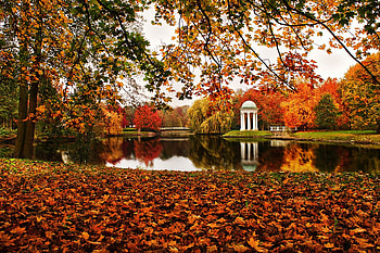 Autumn-R, graphy, Fall, grass, lake, park, leaves, bridge, trees, autumn, sky, water HD wallpaper